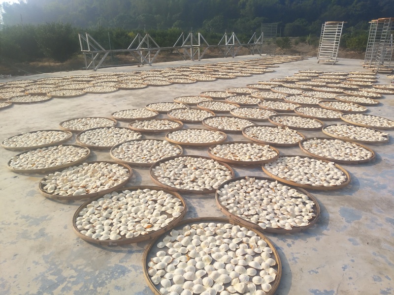 十年新会陈皮陈皮干老陈皮泡茶茶礼出厂价新会陈皮