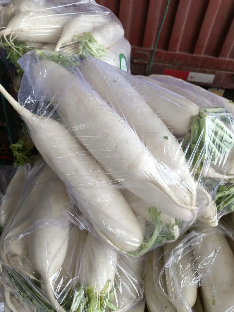 【萝卜】精品白萝卜现挖现发量大从优可视频看货