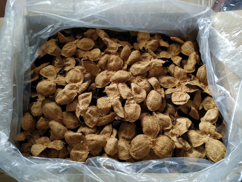 二十年新会陈皮老陈皮陈皮干新会陈皮批发出厂价
