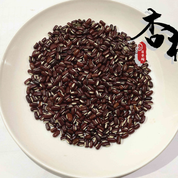 赤小豆精选赤小豆产地山东省精品好药道地药材