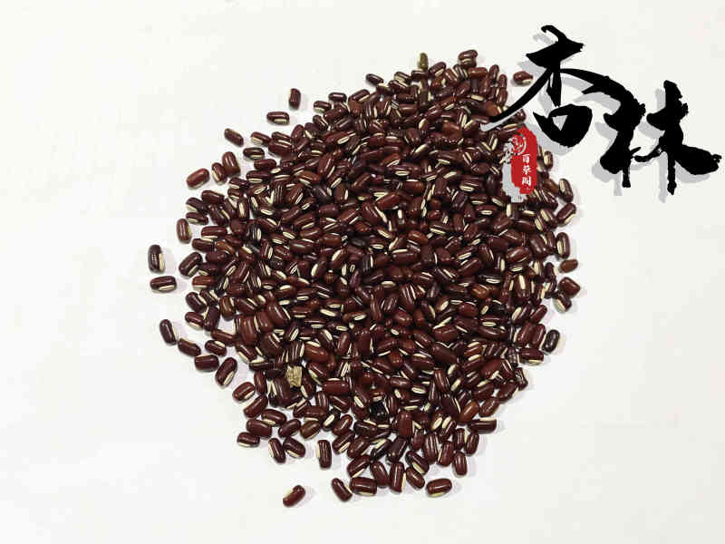 赤小豆精选赤小豆产地山东省精品好药道地药材