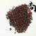 赤小豆精选赤小豆产地山东省精品好药道地药材