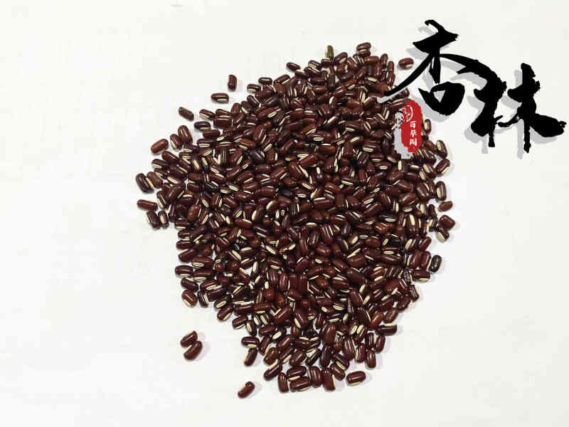 赤小豆精选赤小豆产地山东省精品好药道地药材