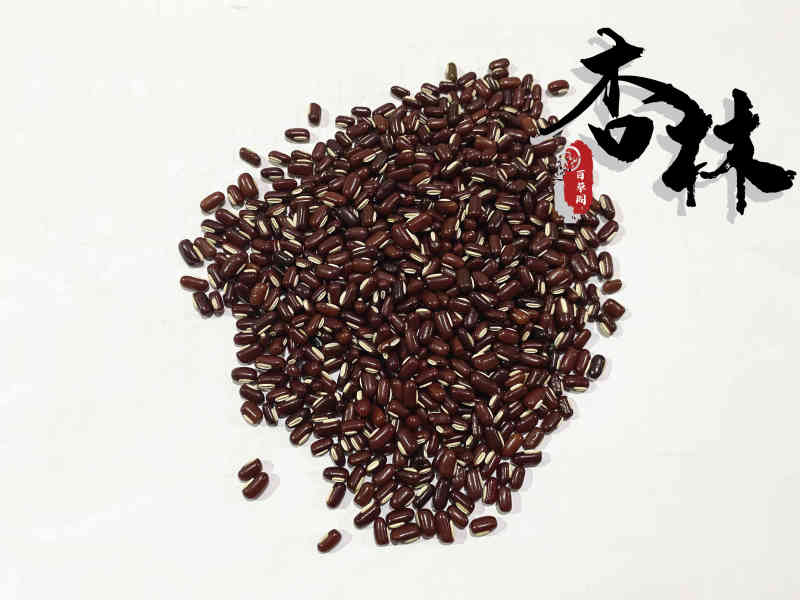 赤小豆精选赤小豆产地山东省精品好药道地药材