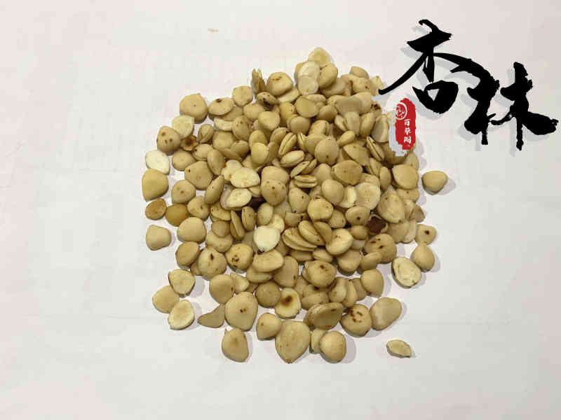 苦杏仁去皮炒苦杏仁脱皮杏仁产地山东省产地货源
