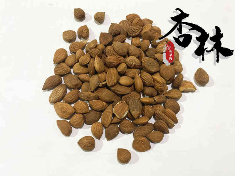 苦杏仁带皮苦杏仁选货颗粒饱满新店上线够本销售