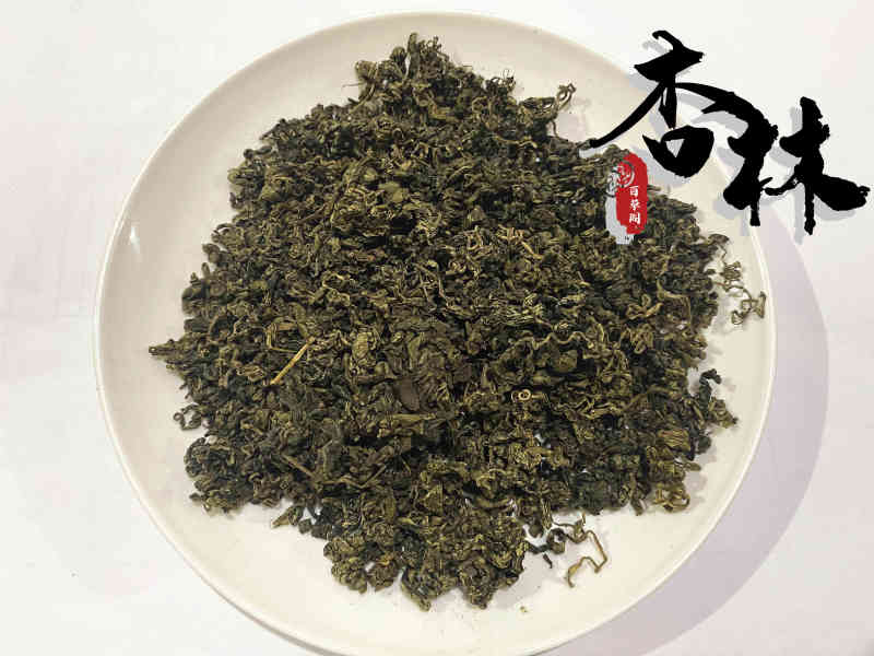 精品选装绞股蓝茶新货价格低新店上线为冲销量