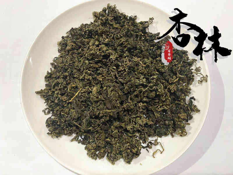 精品选装绞股蓝茶新货价格低新店上线为冲销量