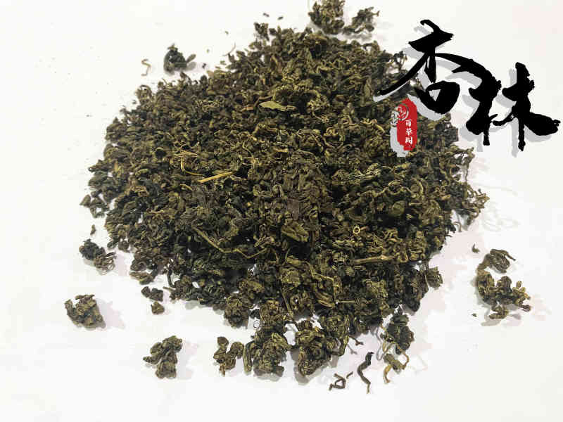 精品选装绞股蓝茶新货价格低新店上线为冲销量