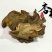 狗脊大片精选狗脊货干颜色好为冲销量货好价格低