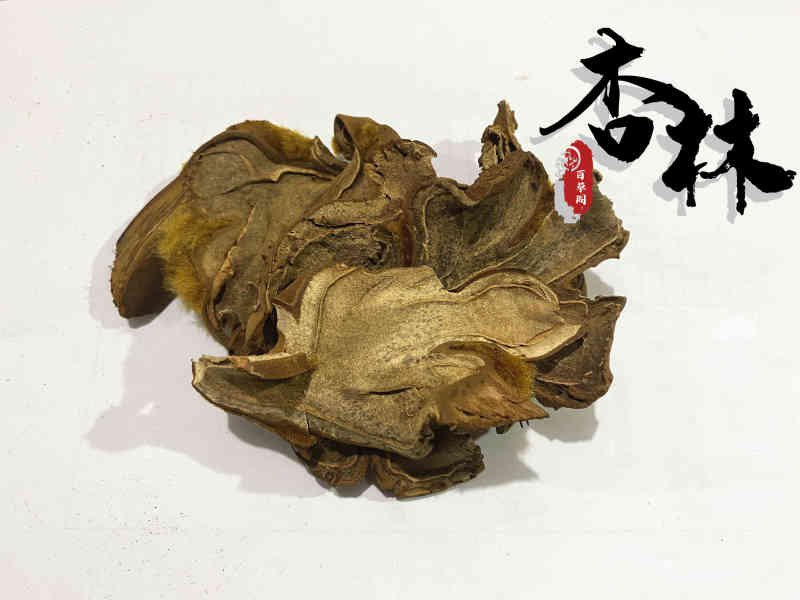 狗脊大片精选狗脊货干颜色好为冲销量货好价格低