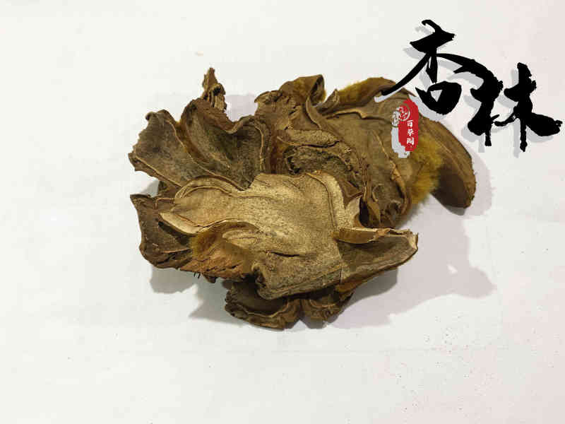 狗脊大片精选狗脊货干颜色好为冲销量货好价格低