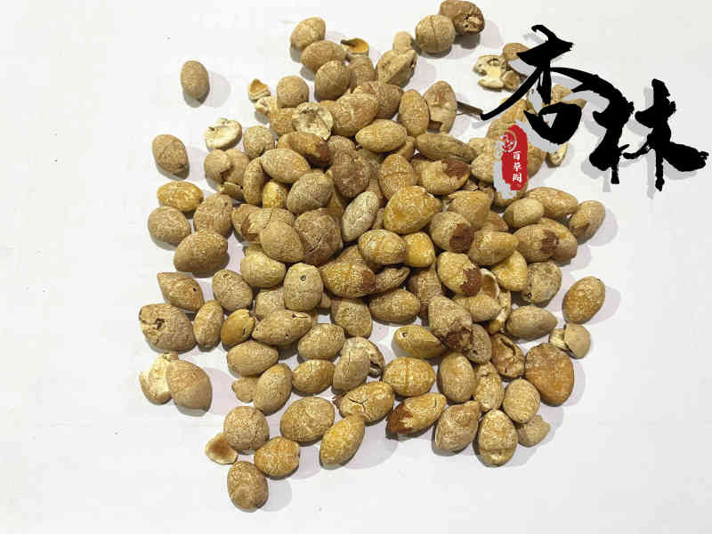 白果选货白果仁新货颜色好无虫蛀产地山东省