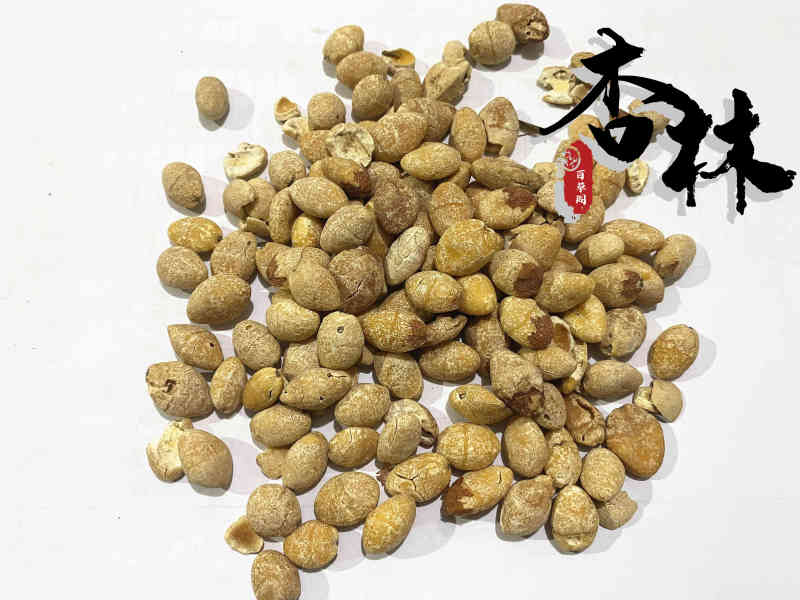 白果选货白果仁新货颜色好无虫蛀产地山东省