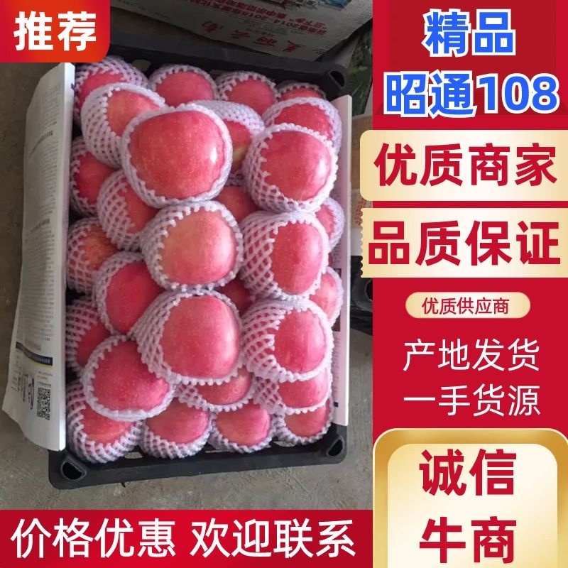 昭通108大量上市了产地直发、社团、电商供应链