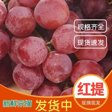 红提，湖南常德澧县，精品红提产地直发，电联下单