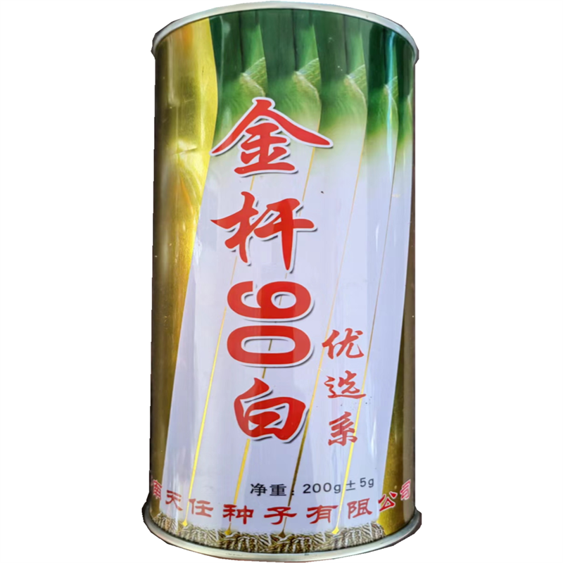 金杆90白章丘大葱种子叶墨绿色抗病高产抗霜冻抗风大葱种子