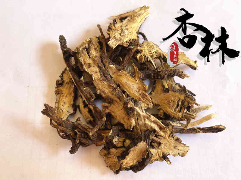 藁本辽藁本大片过筛去沫产地辽宁省道地药材