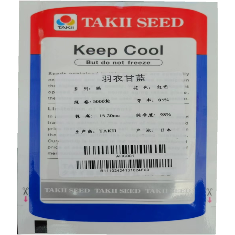 羽衣甘蓝种子日本红鸥白欧紫盆栽食用观赏花进口春季夏秋