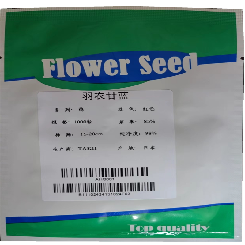 羽衣甘蓝种子日本红鸥白欧紫盆栽食用观赏花进口春季夏秋