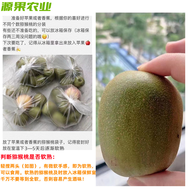 一件代发白肉黄心奇异果蒲江金艳猕猴桃