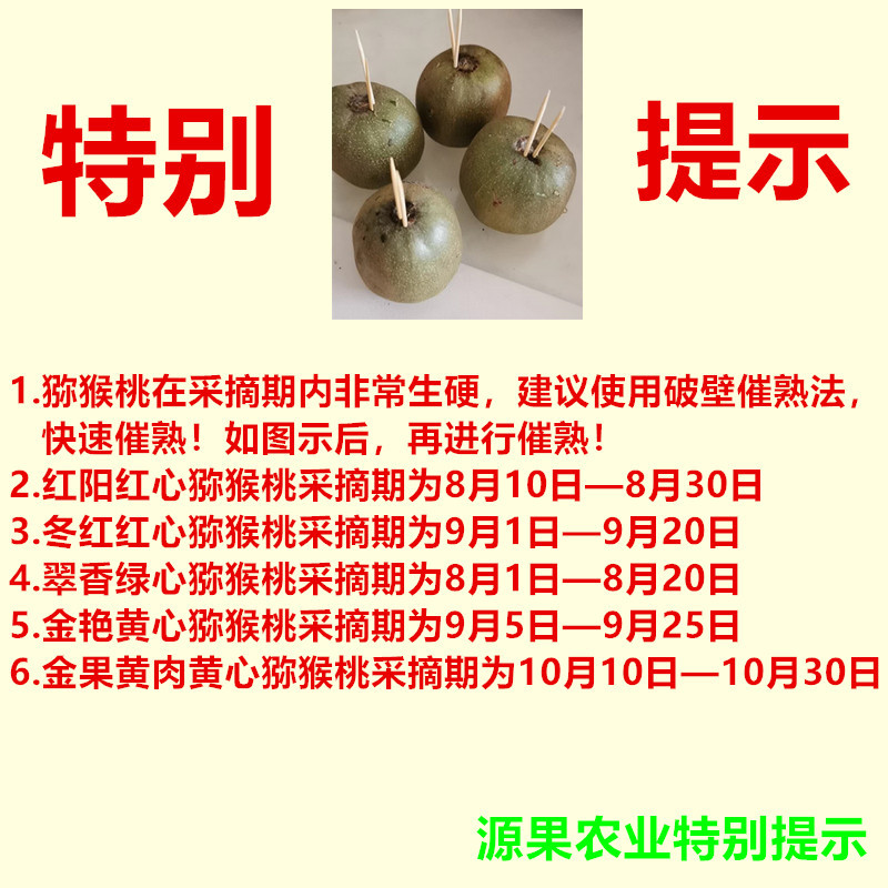 一件代发白肉黄心奇异果蒲江金艳猕猴桃