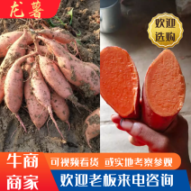 湖北红薯龙薯，产地发货，产品大量现货，可实地考察