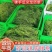 捧瓜尖佛手瓜尖龙须菜，大量上市中，新鲜采摘，欢迎老板采购