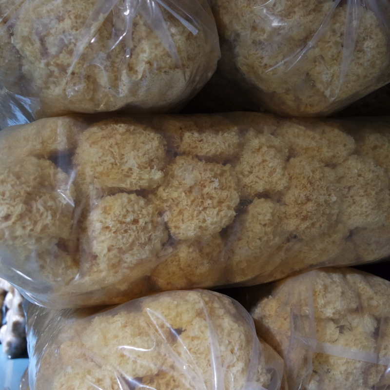 古田银耳食用菌干货福建厂家批发优质本色大花白木耳雪耳