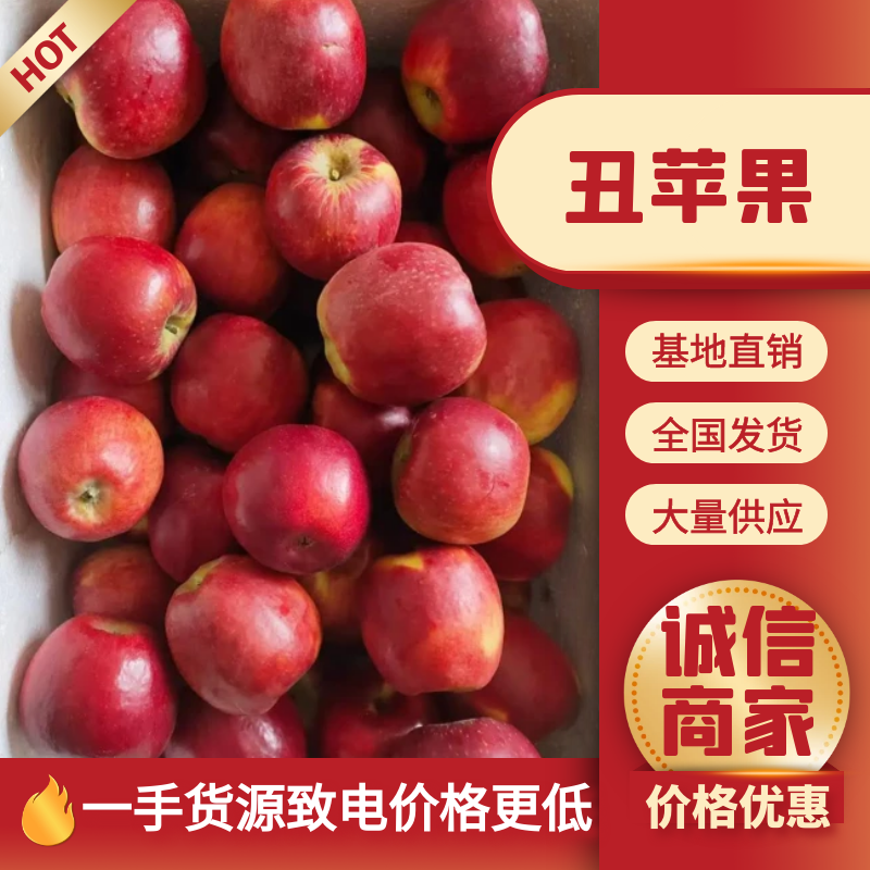 【好货】云南昭通野生丑苹果冰糖心苹果一件代发【产地代办】