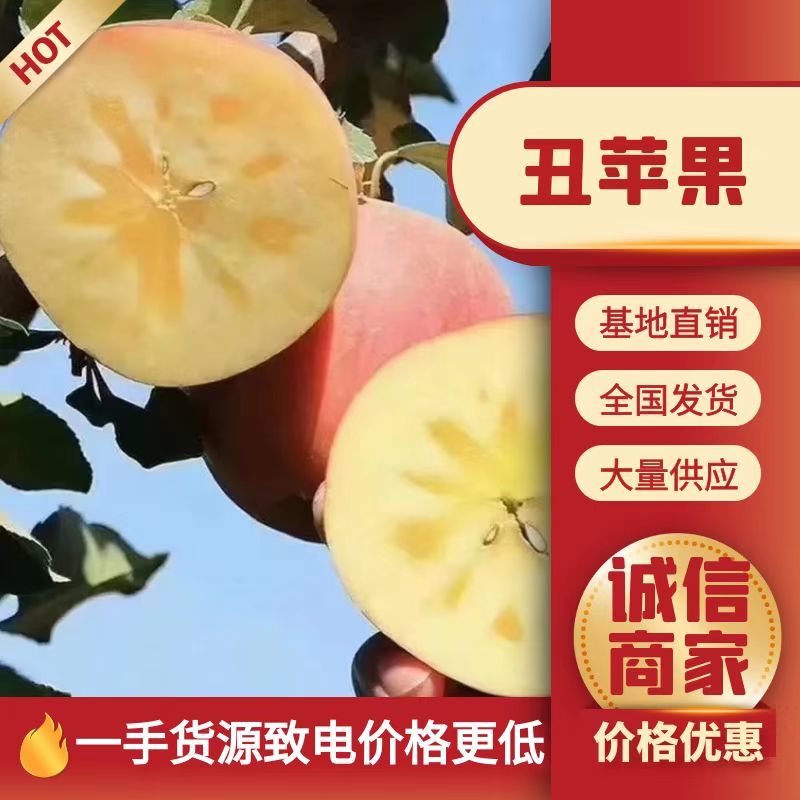 【推荐】云南昭通野生丑苹果冰糖心苹果一件代发【产地代办】