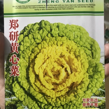 郑研黄心菜种子