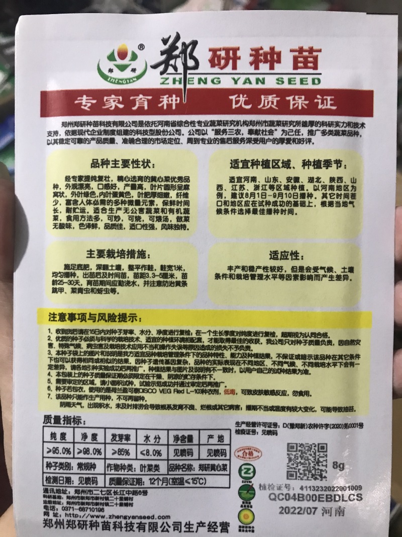 郑研黄心菜种子