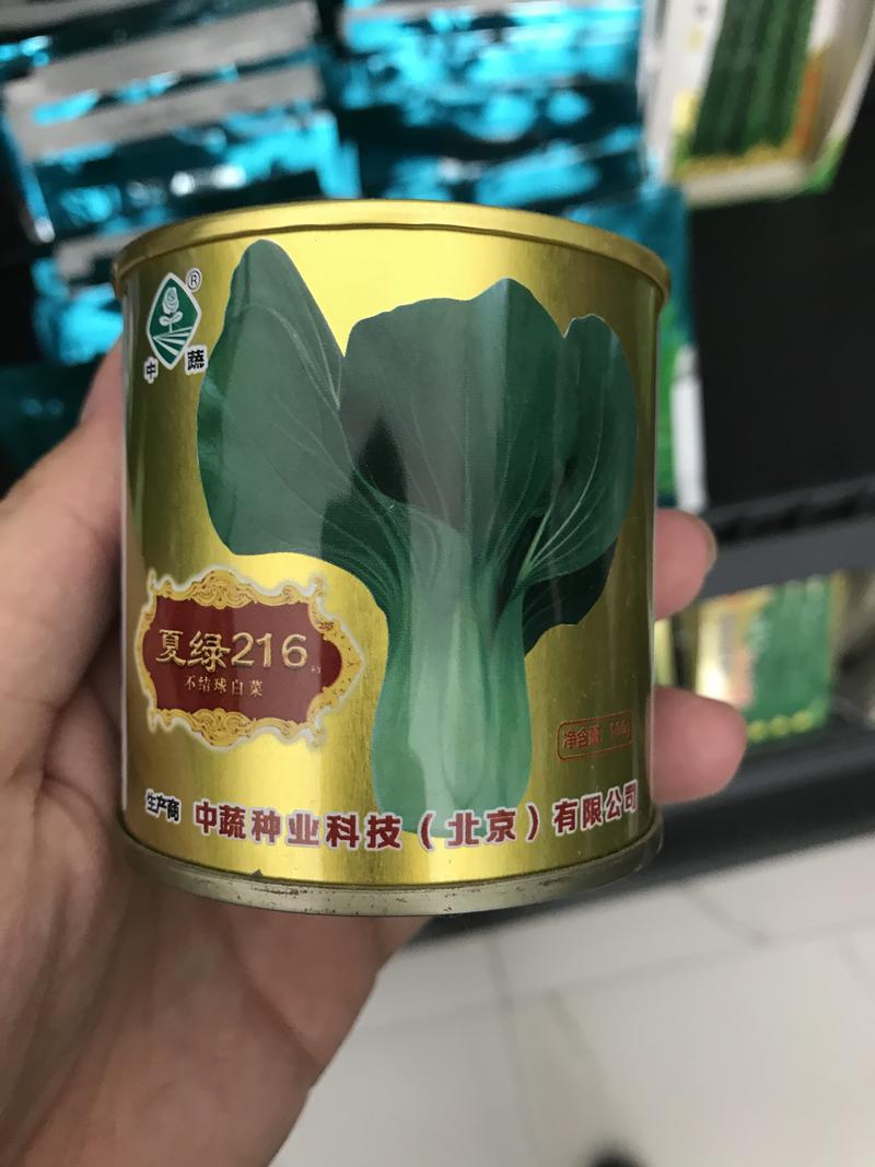 中蔬夏绿216青梗菜种子