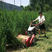小型自走式果园碎草机农用除草打草机柴油大马力割草机