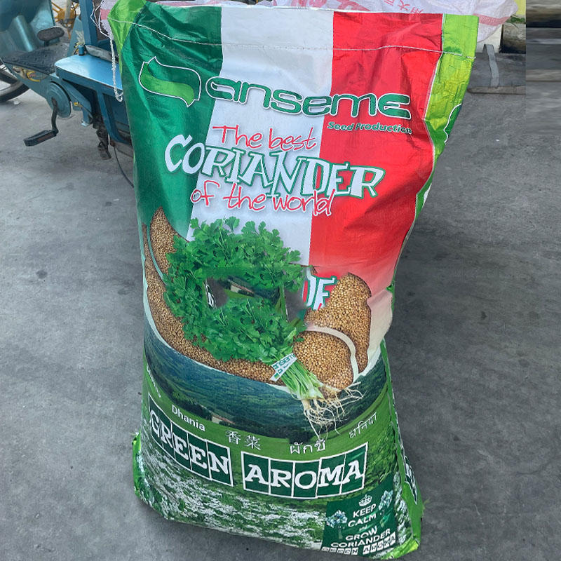意大利安瑟米进口四季香菜种子耐热种子耐抽苔干旱产量高