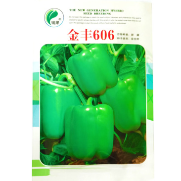 金丰606种子早熟生长旺盛四心室灯笼型基地首
