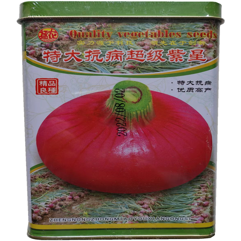特大抗病超级紫星红皮洋葱种子圆型紫皮洋葱种子灰霉病早熟