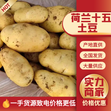 【推荐】土豆，沃土，西森，三两起步，超市品质欢迎来电