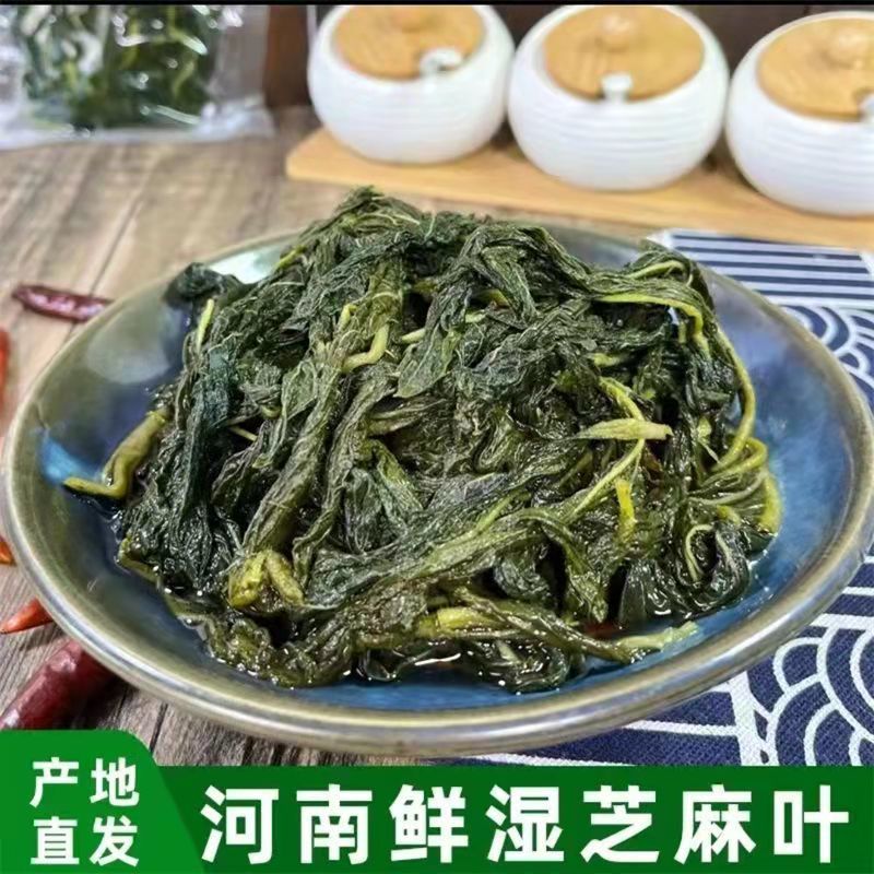 【一件代发】河南特产新鲜芝麻叶方便免泡150克包邮批发