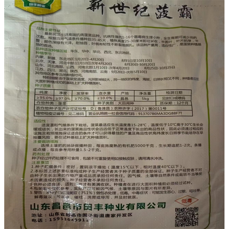 荷兰大叶波菜种子新世纪菠菜种子耐寒高产越冬秋季四季耐抽苔
