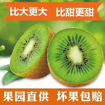 周至县海沃德绿心猕猴桃，供应电商微商，水果超市新鲜采摘，