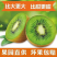 周至县海沃德绿心猕猴桃，供应电商微商，水果超市新鲜采摘，