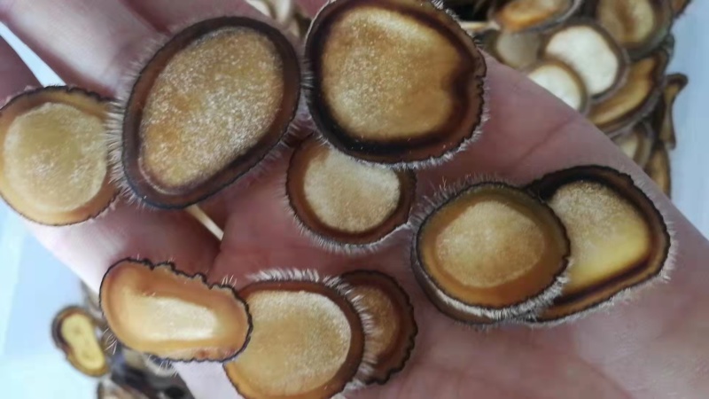 鹿茸白粉片带腊片圈半腊片滋补磨粉煲汤50克包邮
