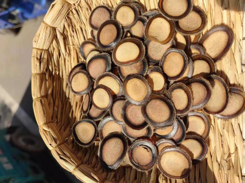 鹿茸白粉片带腊片圈半腊片滋补磨粉煲汤50克包邮