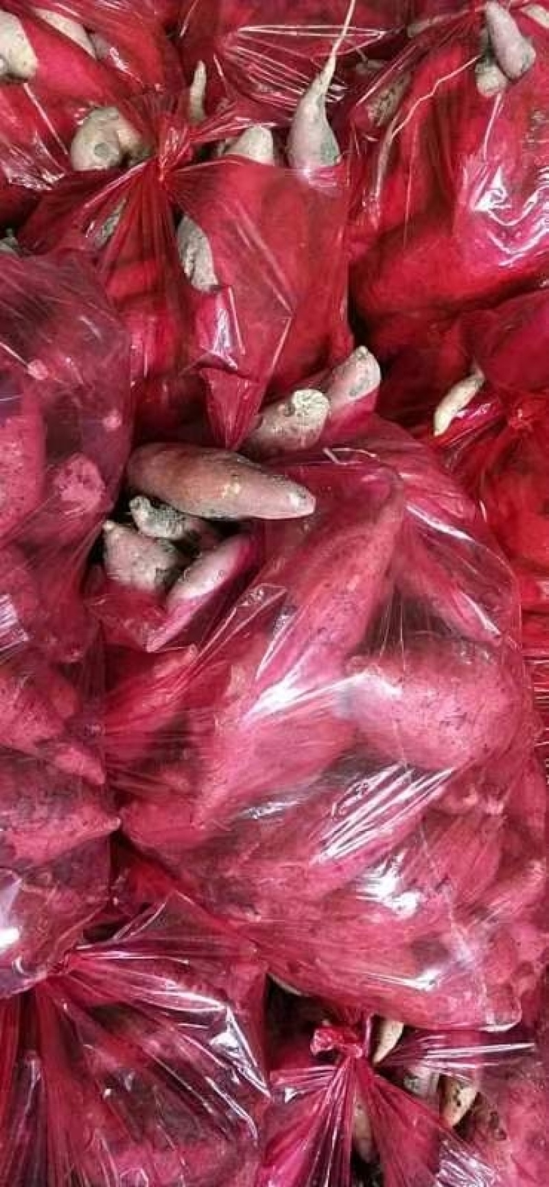 【精选】红薯烟薯25蜜薯，烤薯微商电商，批发市场商超