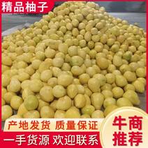 漳州平和红心柚，产地发货，大量供应质量保证，欢迎进店
