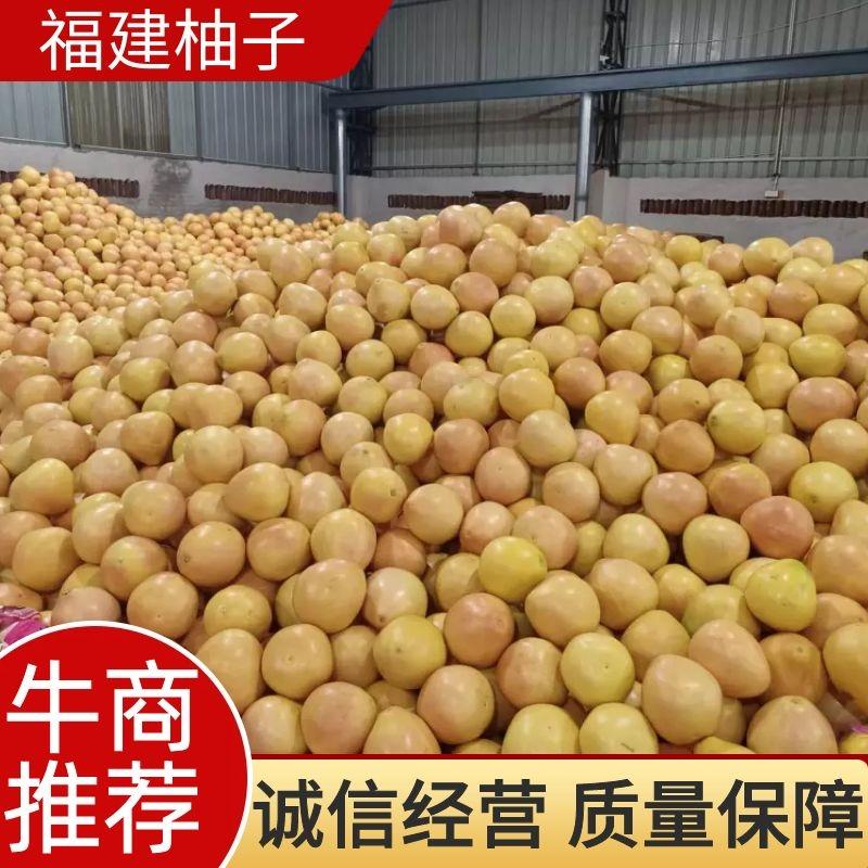 漳州平和红心柚子，皮薄肉厚大量供应品质保障可视频看货