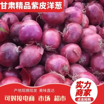 甘肃精品紫皮洋葱基地直发品质保证量大从优欢迎联系