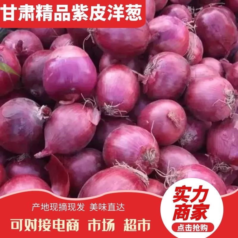 甘肃精品紫皮洋葱基地直发品质保证量大从优欢迎联系